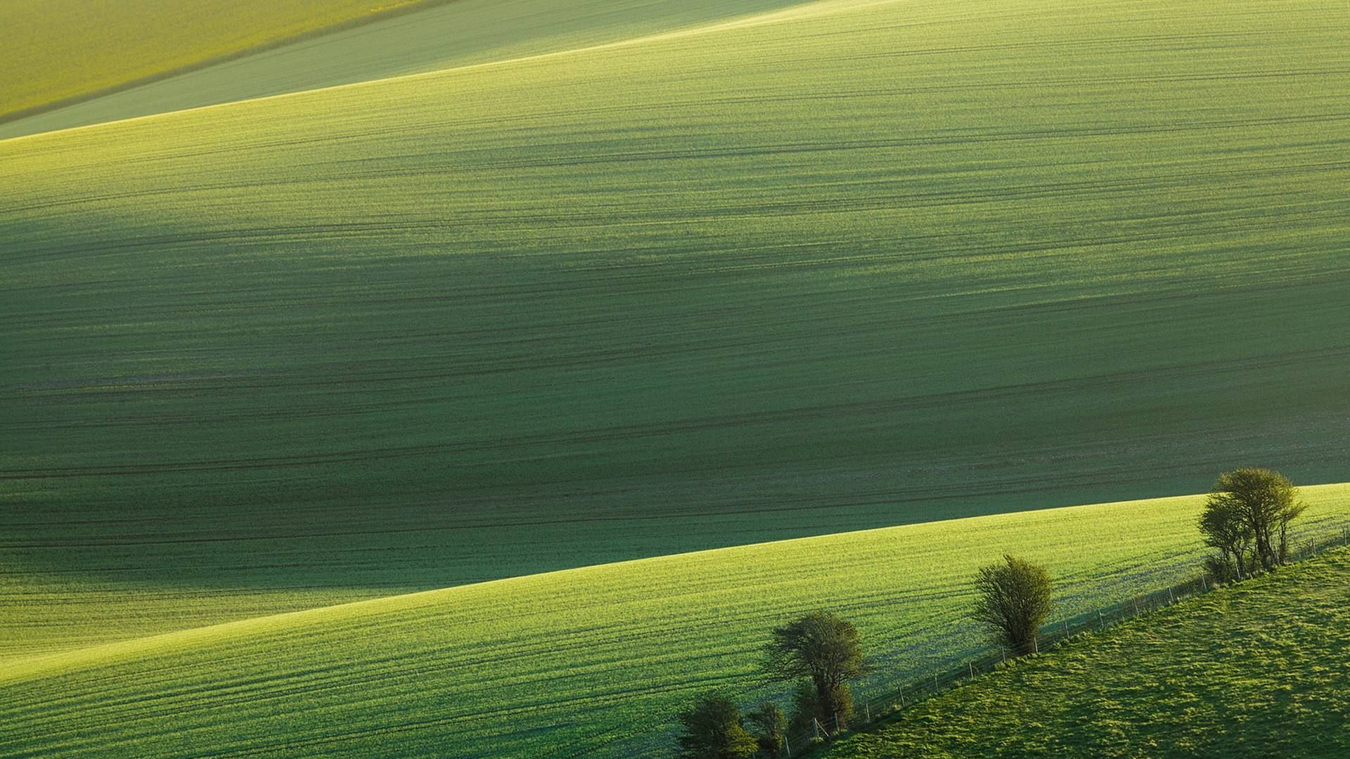 怎么设置护眼的淡绿色屏幕和浏览器背景颜色 360浏览器怎么调整背景颜色
