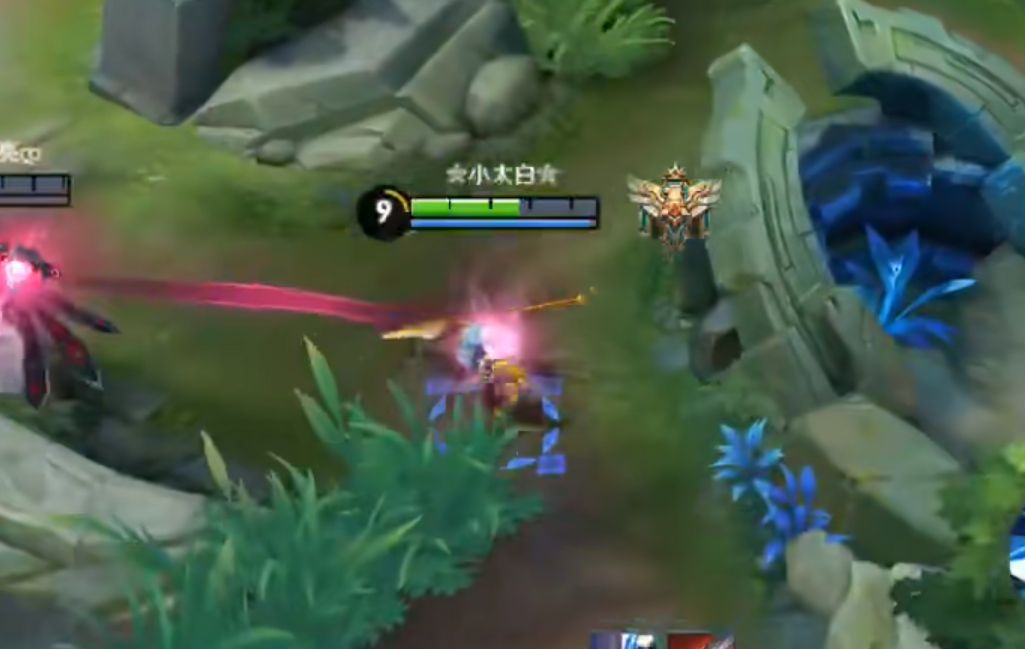 王者荣耀:3个游戏专用词汇,选手梦泪曾经因为