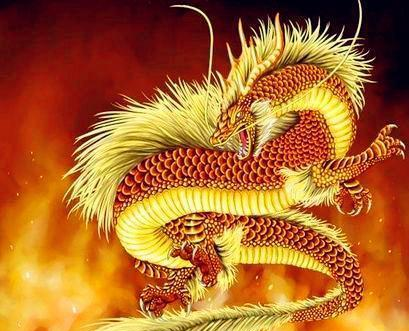 属龙的好运图片,76年属龙人最好微头像 属龙人