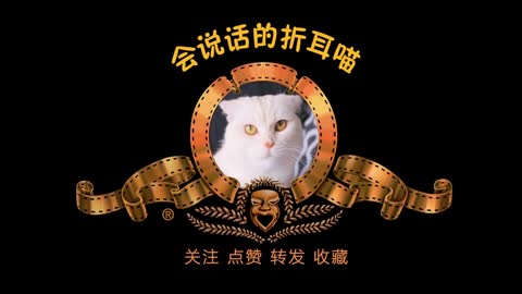 会说话的折耳喵：怎么会有这么贪吃的猫猫？连打印机都要啃两口！