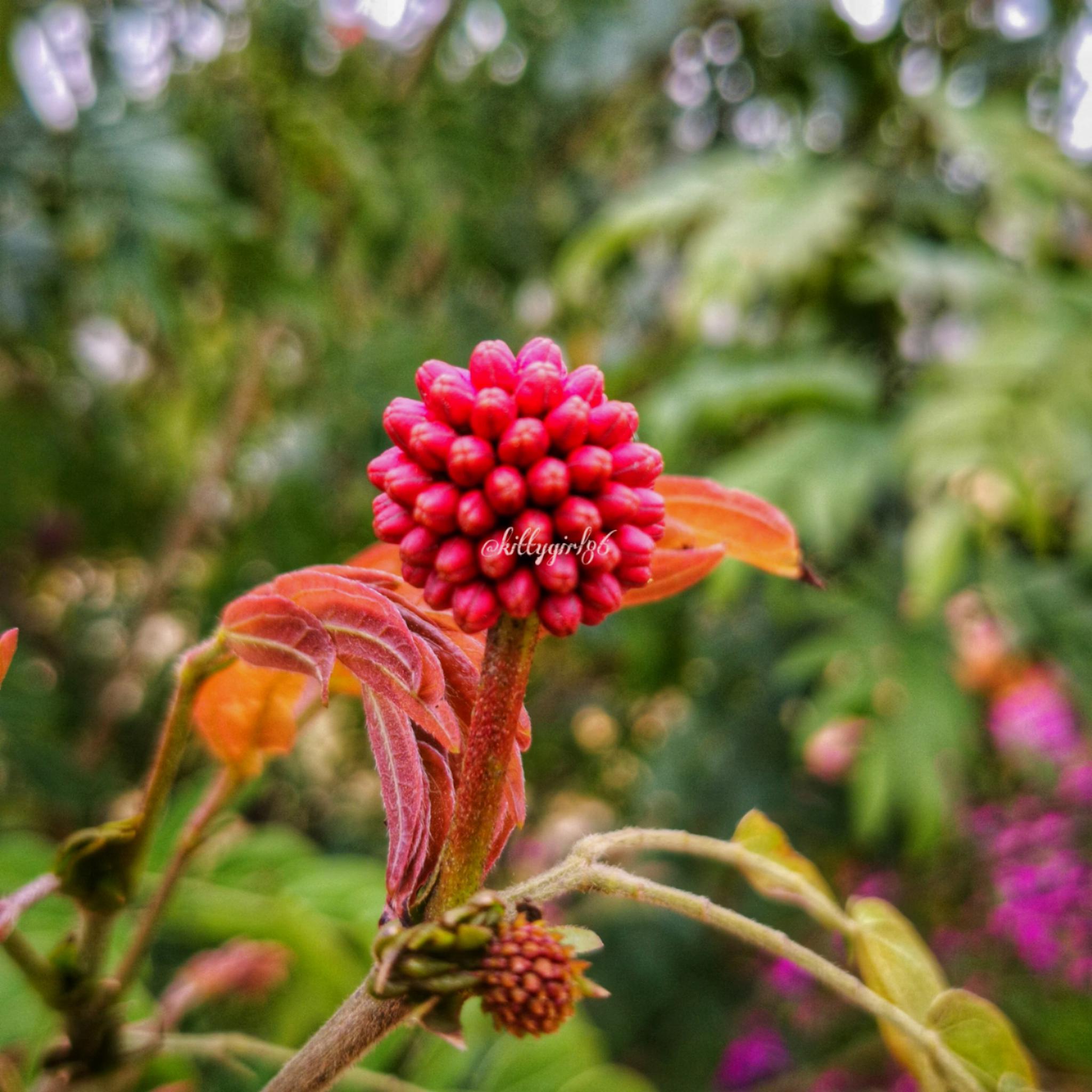 我非常生气但不是生你的气对父亲的什么描写?