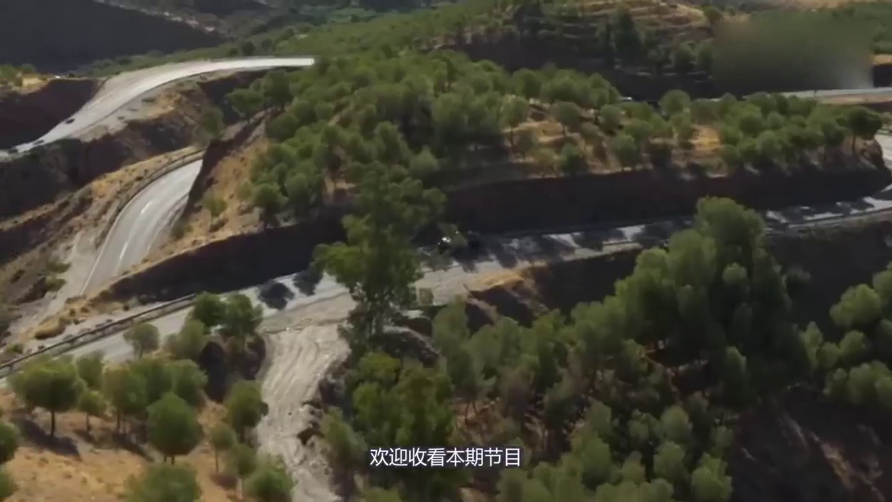 又一合资车低头了！油耗仅5