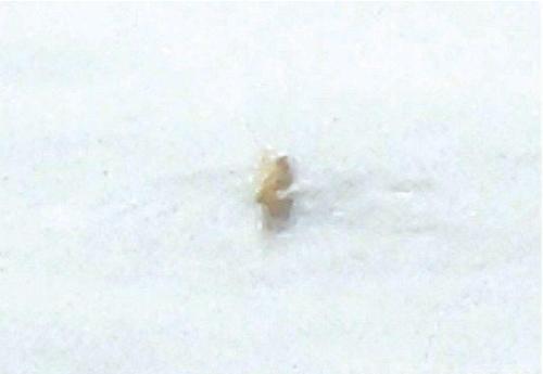 古老传说是真是假？长白山水怪真相揭秘惊呆世人