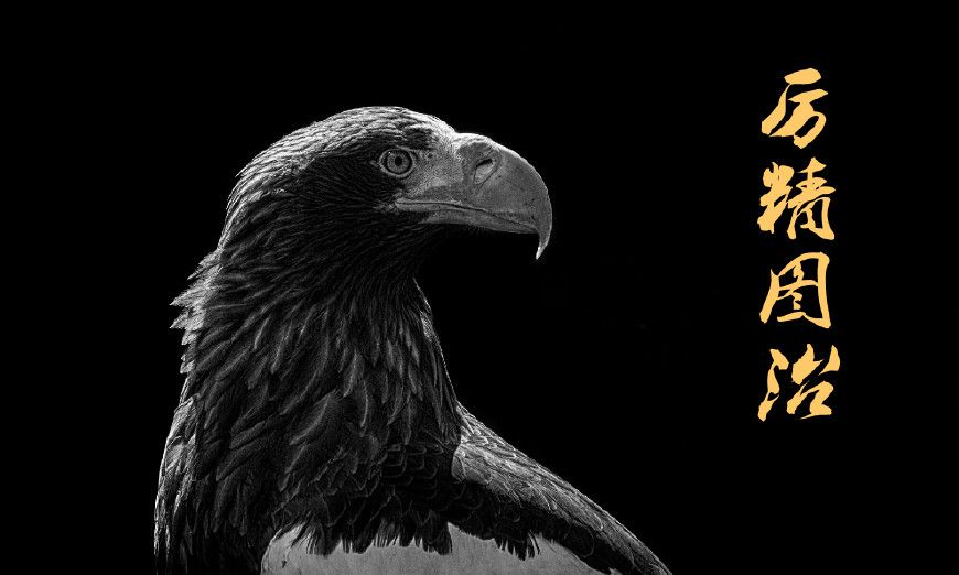 祖先法力一般给什么后代