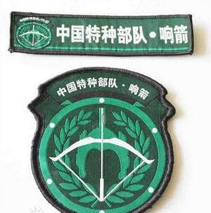 中国特种部队排行榜_中国特种部队排名出炉,第一名当之无愧,最神秘部队竟是杜撰!(2)