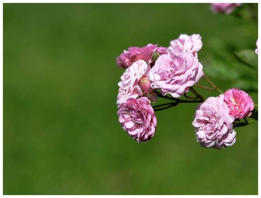 十二生肖每天运势提早报 年2月19日运势