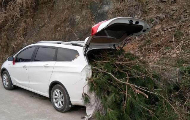 4万多元就可以买到这辆“瓦罐车”，家用买菜出门旅行的必备神器