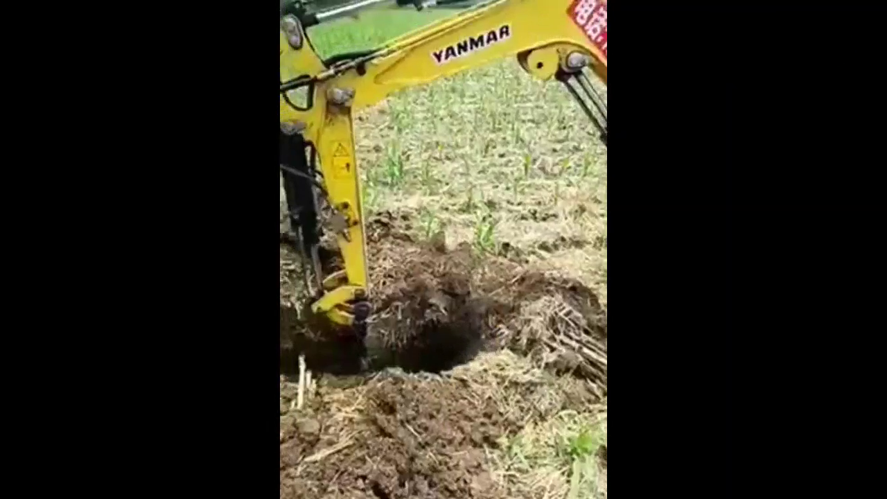 本来挖掘机师傅是好心的帮一把，结果卡车却翻车了