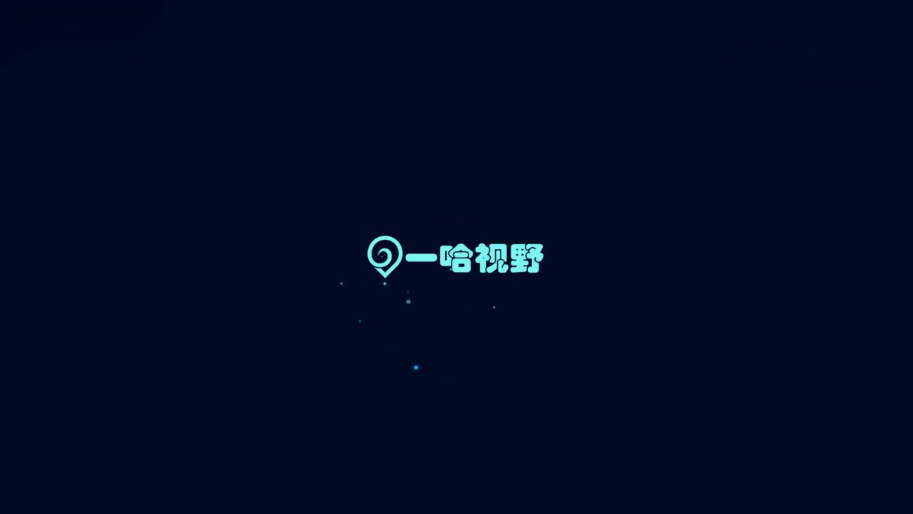 德国的出租飞机价格和出租车差不多，时速300公里每小时