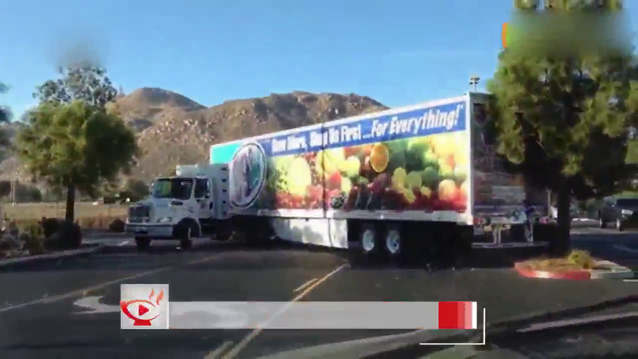 可怕！女司机驾驶超长卡车拐弯压断松树