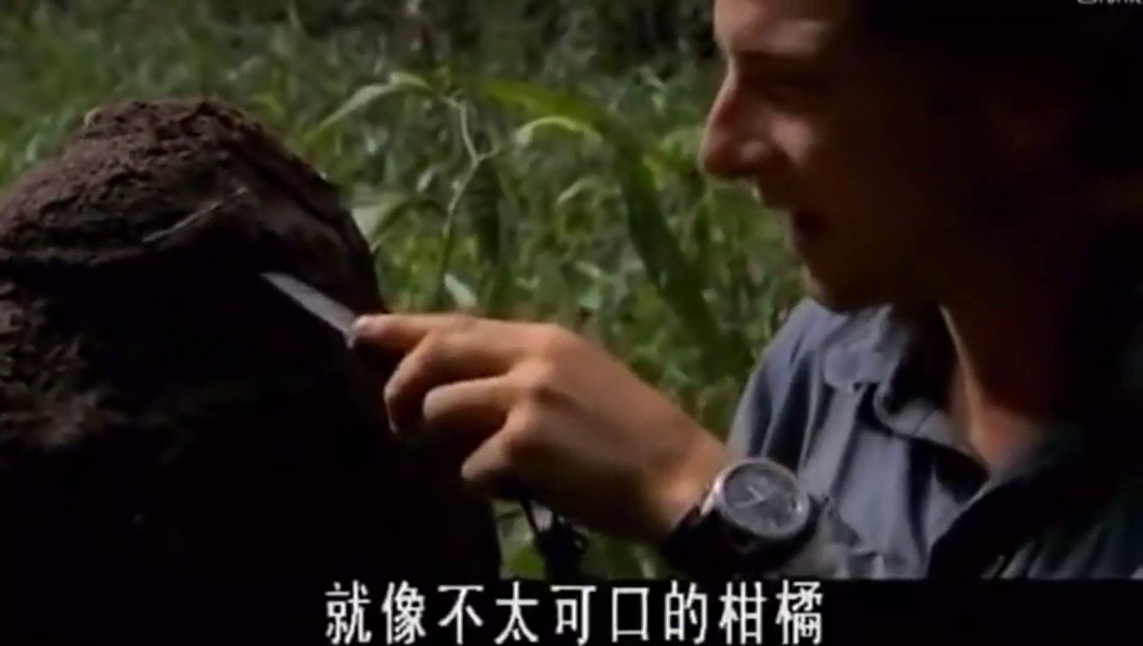 《荒野求生》贝尔带明星妹子这样取水震不震撼?服不服?