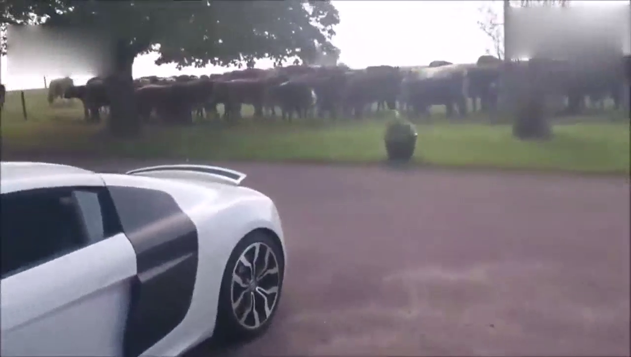 跑车应该是每个男人的梦想了，不知道各位都实现了没有