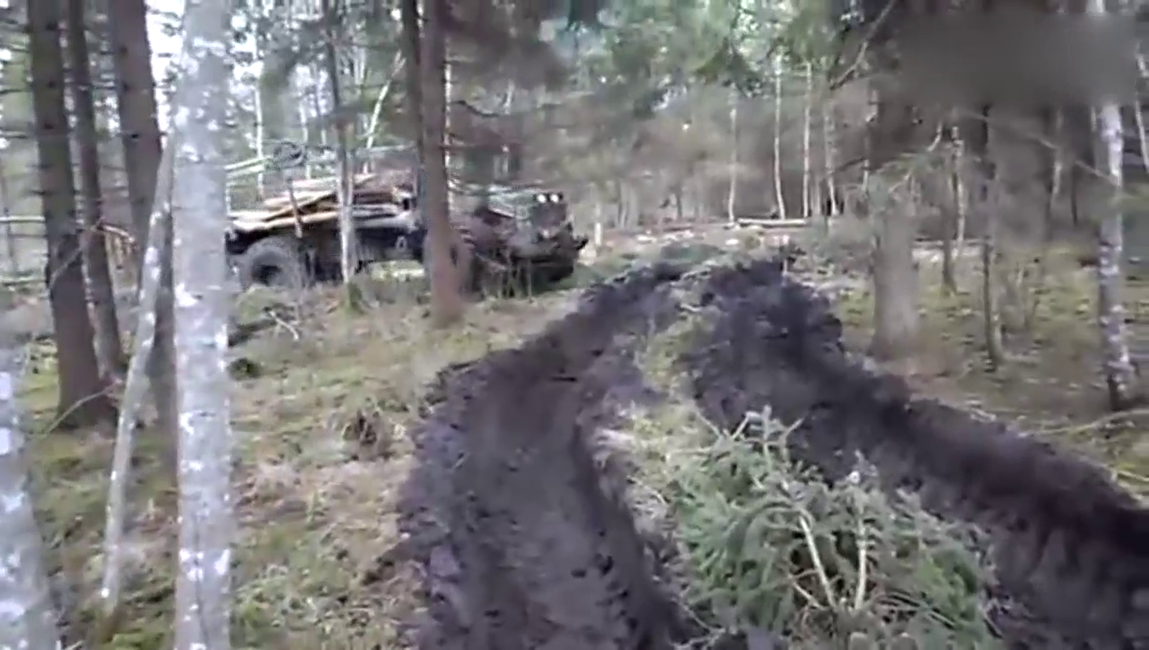 卡车在泥泞不堪的林区运输木材，毅力不够在这种地方都待不下去