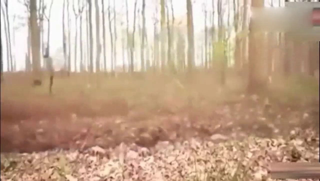 当跑车进入泥泞的土路，场面展现了超级跑车的霸气性能