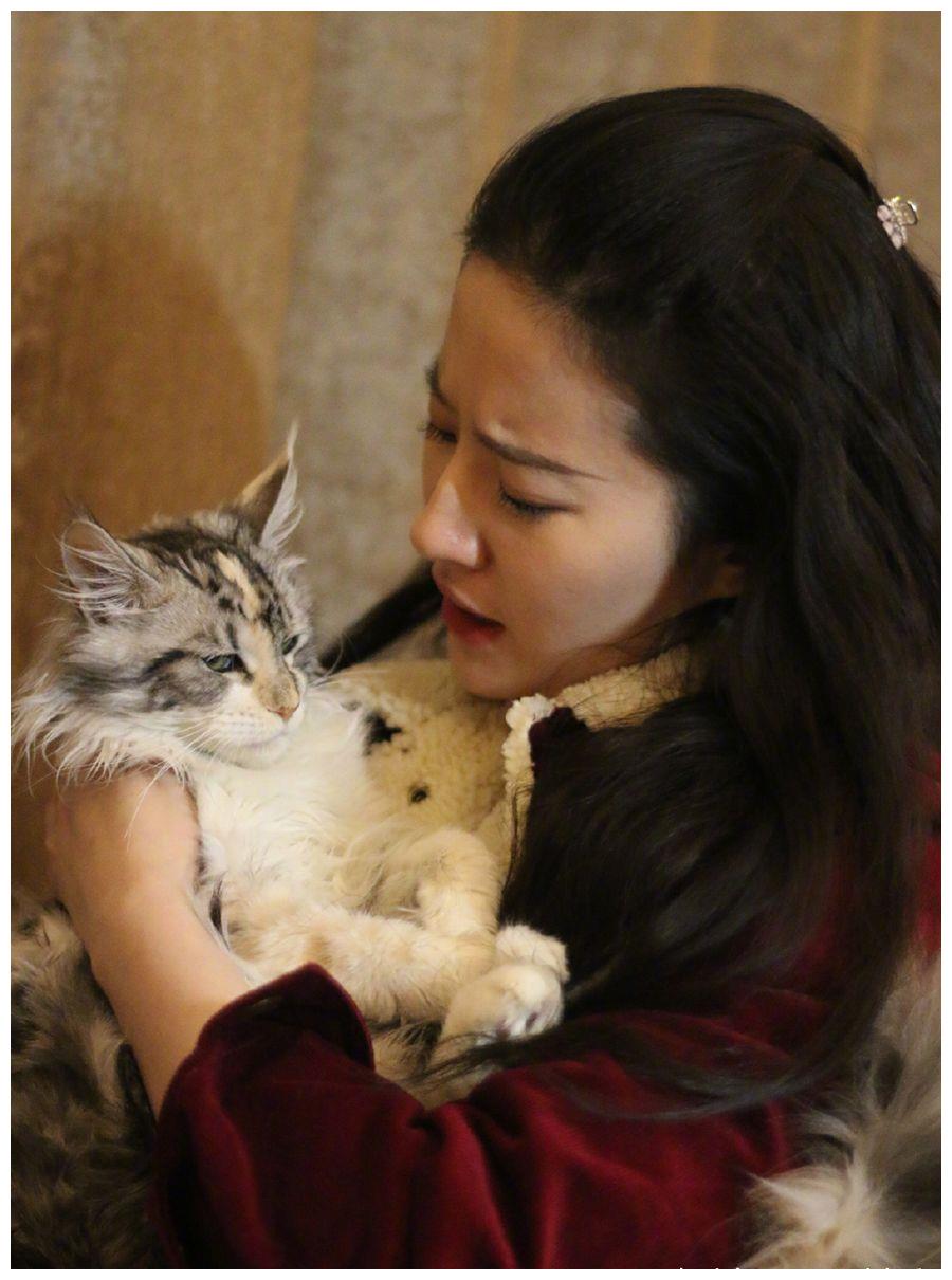 32岁刘亦菲晒近照，抱着猫纯素颜出镜，还是你心中天仙吗？