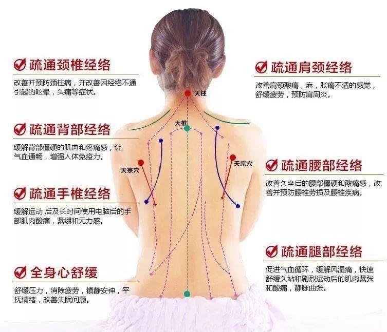 1,脊椎:是人体年轻的第二道生命线,也是五脏六腑的反射区,因为五脏