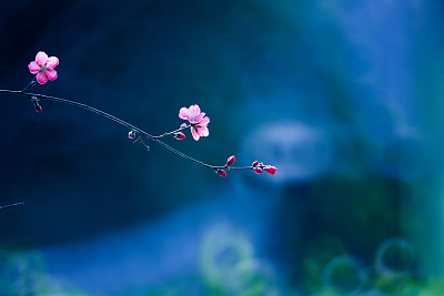 人生,对待不公,平静心态,对待寂寞,平淡心境…