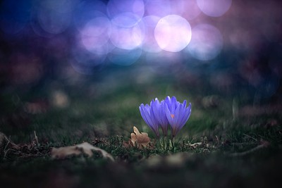 人生,对待不公,平静心态,对待寂寞,平淡心境…