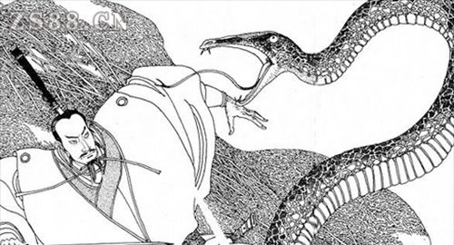 梦境奇遇，与妻共游勾边，水龟蛇影交织的警示