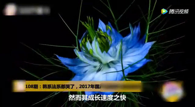 韩系法系都哭了，17年国产车即将干掉合资车