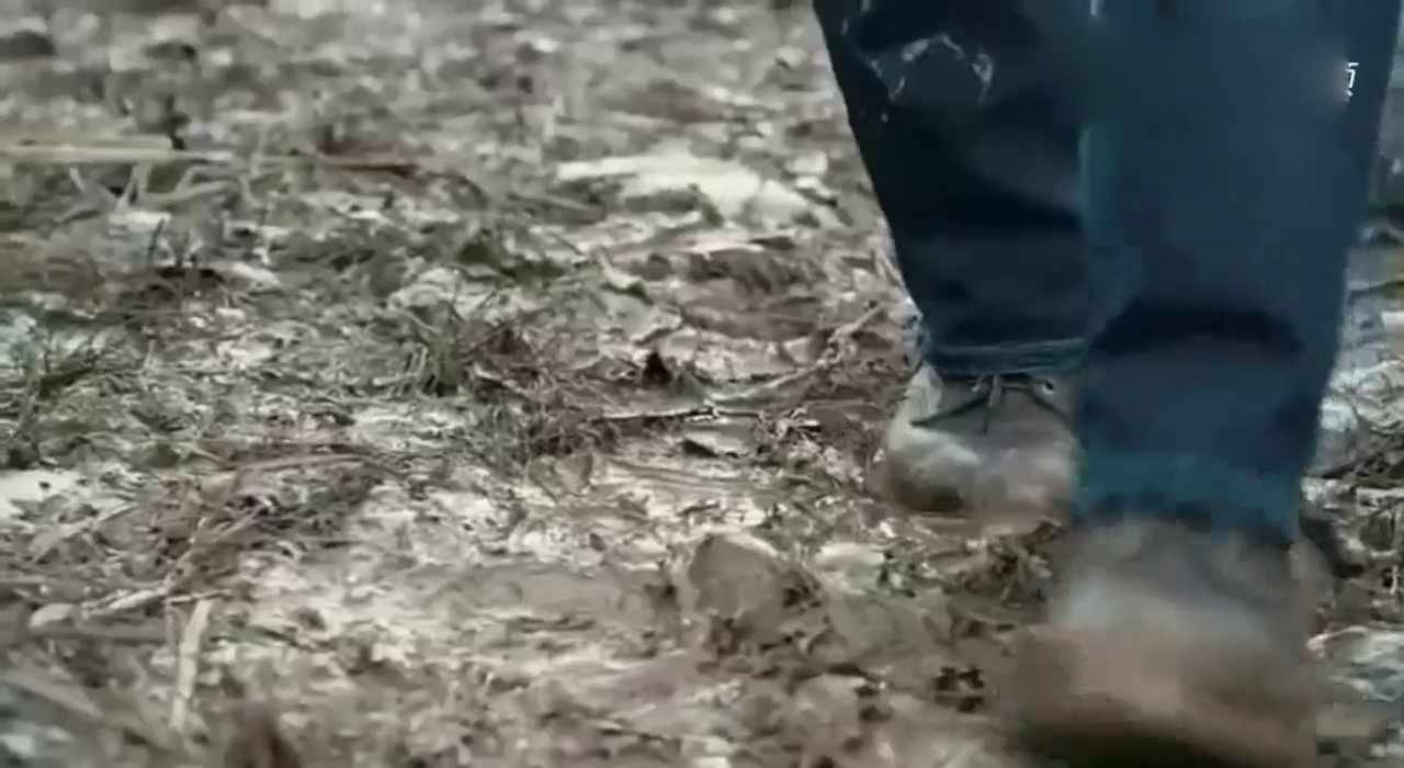 沃尔沃卡车的实力有多厚，看看车抖上的货卡就全明白了！