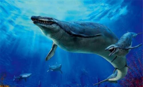 史上最凶残的鲸鱼，伊西斯龙王鲸，三千万年前曾称霸海洋！