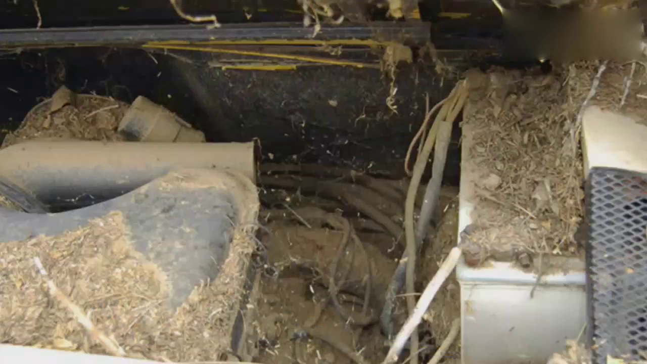 小伙野外捡到一辆1970年跑车，花10万块修好当场卖了20万