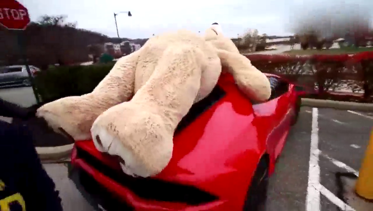 牛人给跑车车顶绑了一个玩具熊，十秒钟以后才知道啥叫霸气！