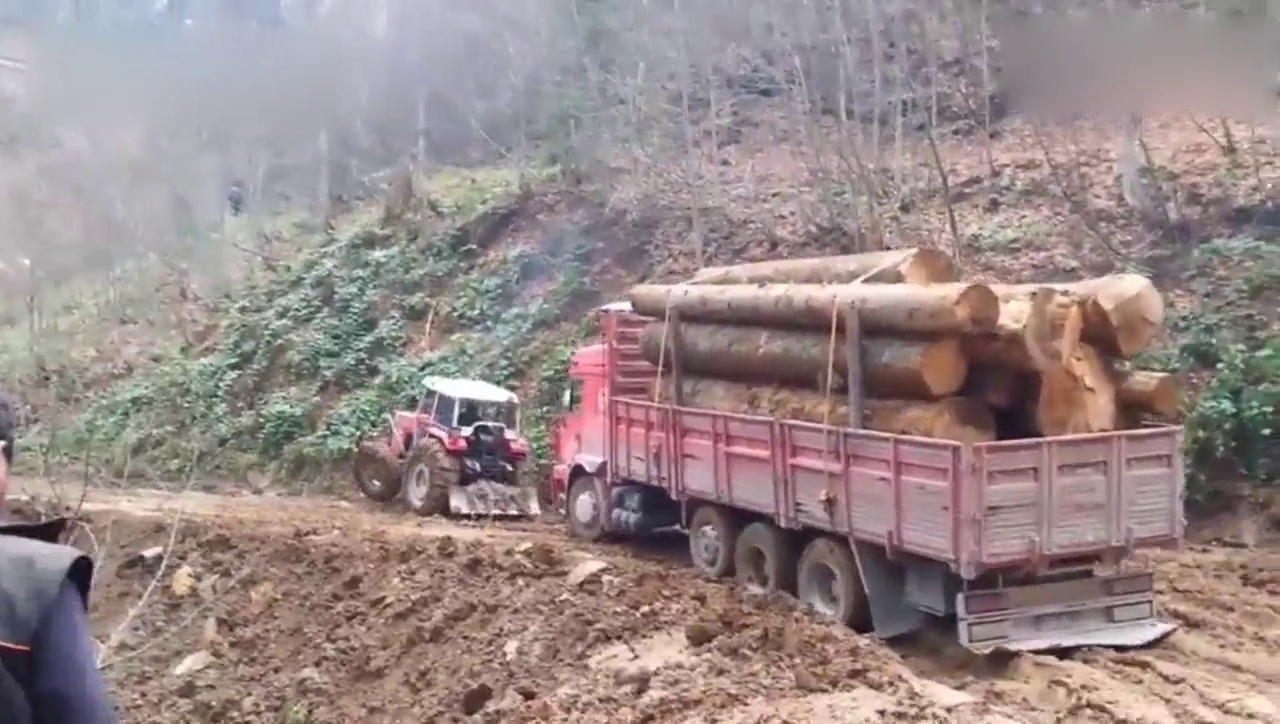 深陷泥路里的伐木卡车