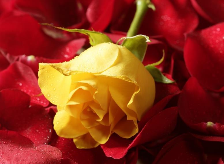 2019年,最有可能迎来财富的星座,运气旺盛,贵人