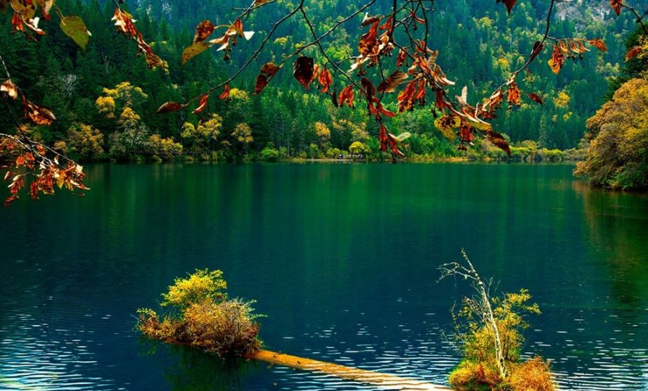 九寨沟人口_九寨沟图片风景图片(2)