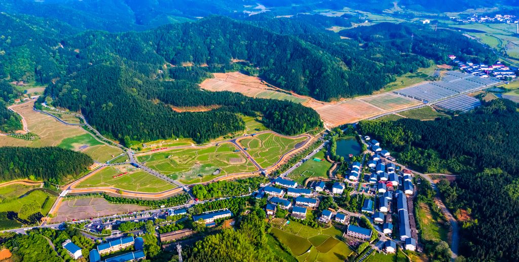 保良村人口_人口普查