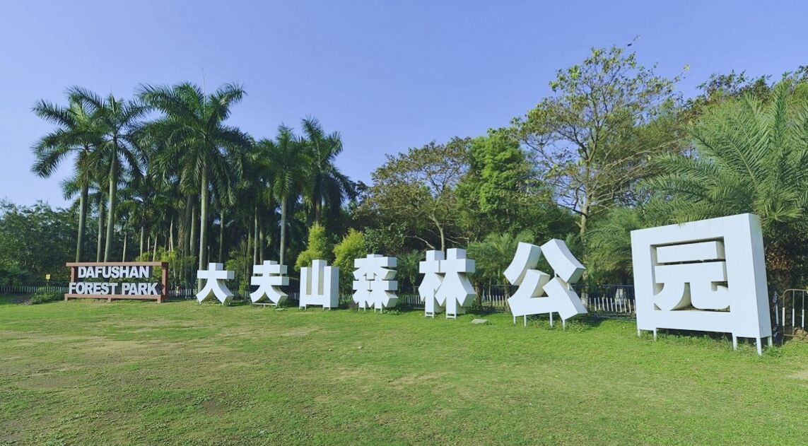 山不高景色觉很美广州吸氧最理想去处——大夫山森林公园