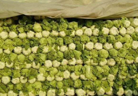 别小瞧放蔬菜的地窖,原子弹爆炸时,躲进去能够救你一命