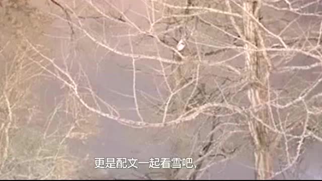 高以翔台词不会说赶紧接下来焦俊艳的反应够我笑十遍