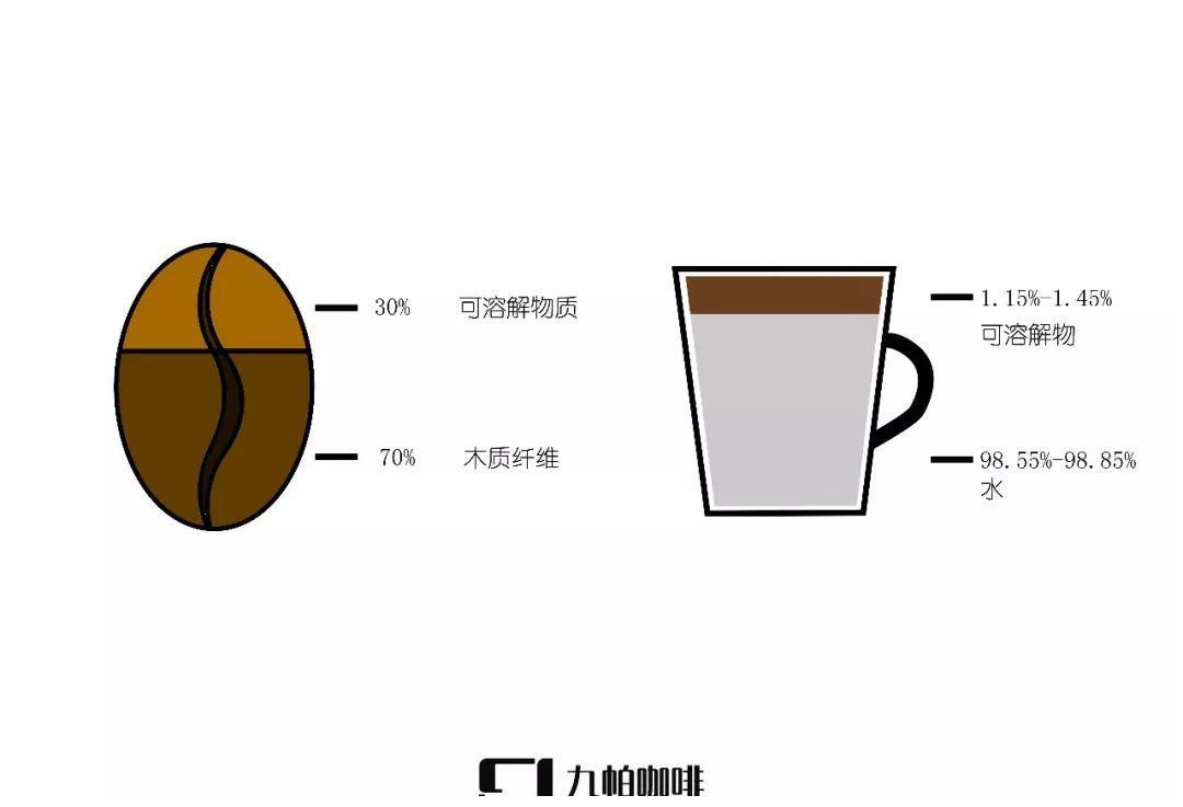 咖啡萃取系列 粉水比例对咖啡萃取风味的影响