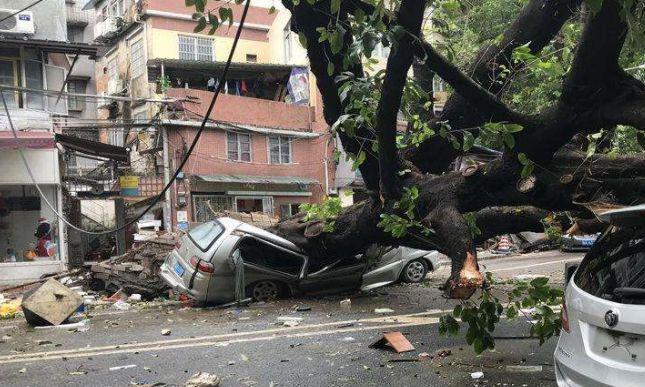 “山竹”走了，近3万辆被树砸水淹的车谁来陪？保险公司这样回答