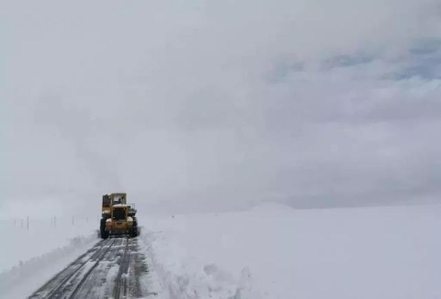 近期藏区旅游资讯!