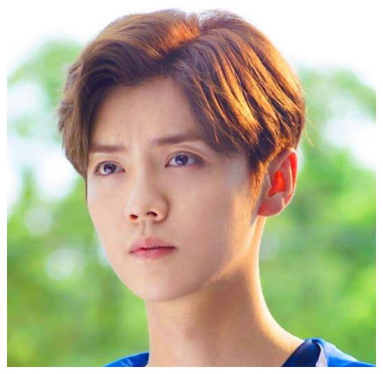 2008年出生的男明星,2008年出生的女明星 排名才会比较靠后;1990年4月20日出生于北京海淀区,中国内地影视男