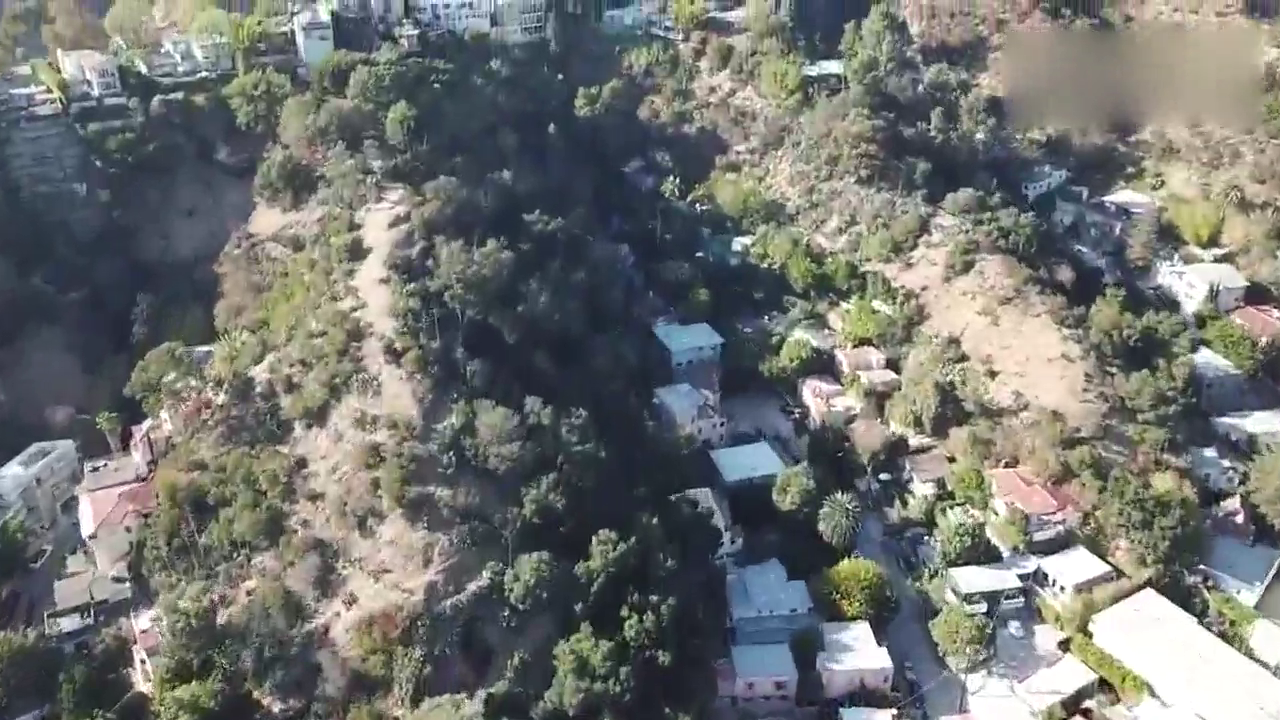 迪拜王子参观土豪的超级跑车，打开车库门后感受下啥叫霸气