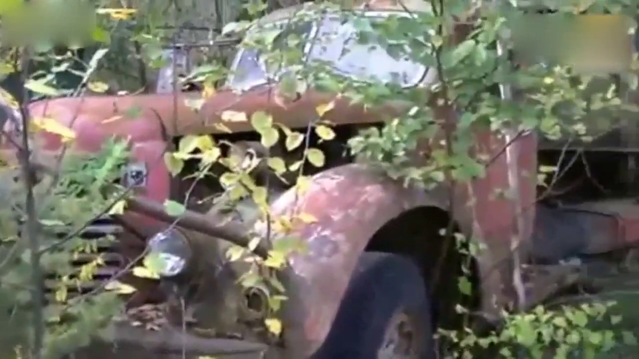 农民去山上砍材时，发现了几辆丢弃的旧卡车，竟然没人要