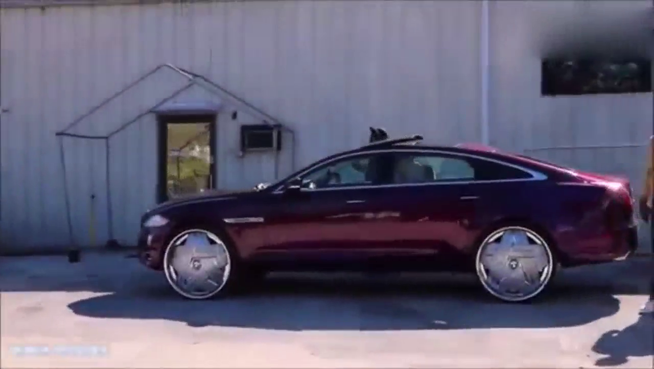 这条路上的改装车太炫酷了