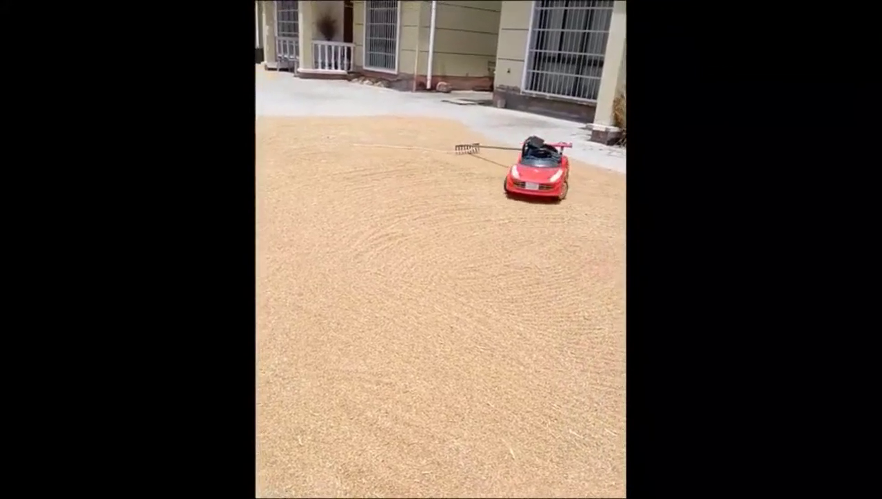 晒麦子的小伙用儿子的跑车发明的，这洞脑，我服