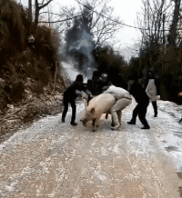 搞笑gif:作为一个中国人,用筷子灵活性不如一个外国人
