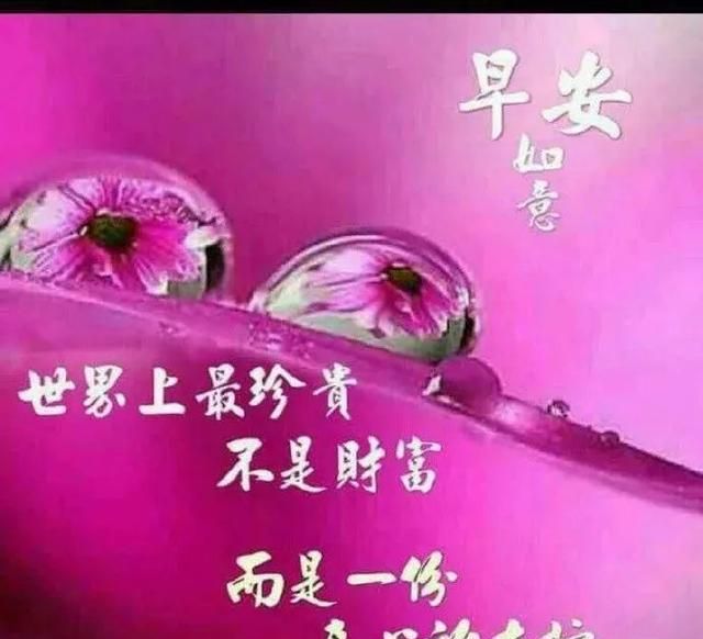 早上好图片 新版 微信,早上好图片 新版 真实 最新版微信早安正能量问候语,早上好的漂亮表情图片