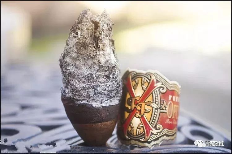 福恩特的“大肉瘤”雪茄闻所未闻盘点形形色色的异形雪茄 福恩特的“大肉瘤”雪茄闻所未闻 盘点形形色色的异形雪茄