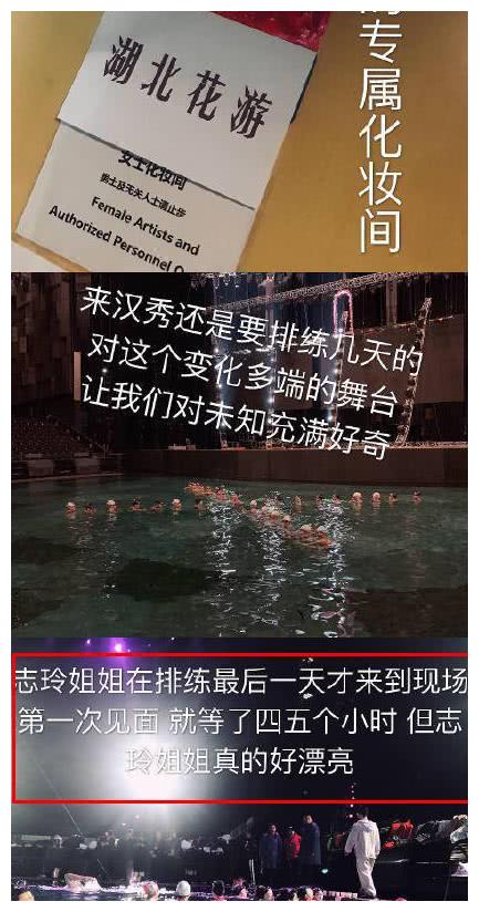 林志玲春晚最难演节目火了,水下替身却因一句话遭网络攻击!