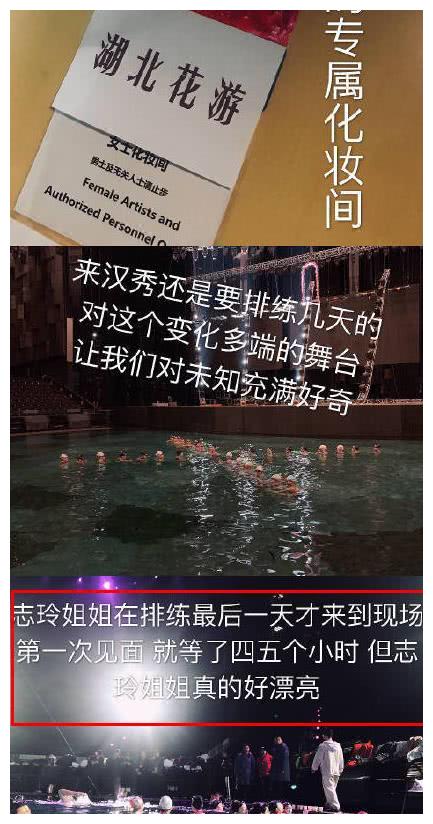 林志玲春晚最难演节目火了，水下替身却因一句话遭网络攻击!