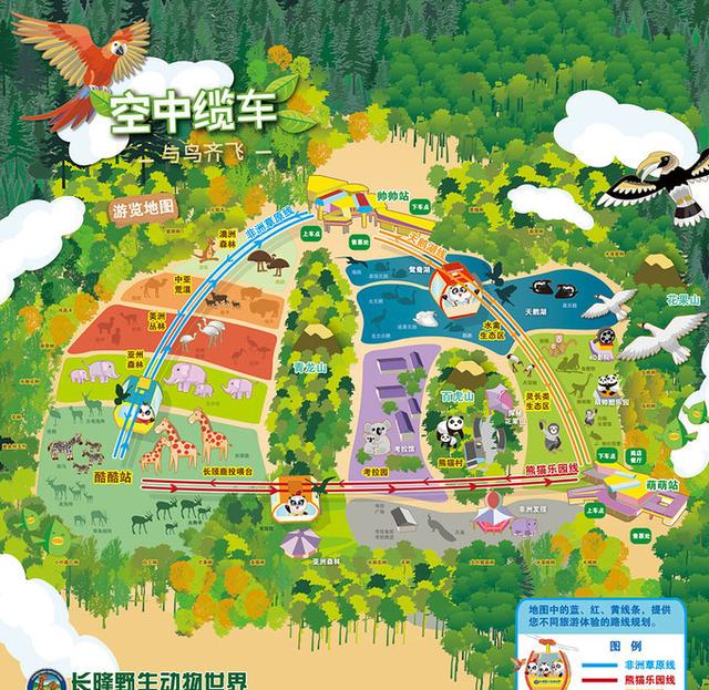 打卡广州长隆野生动物园：空中缆车免费，但一定要做好攻略