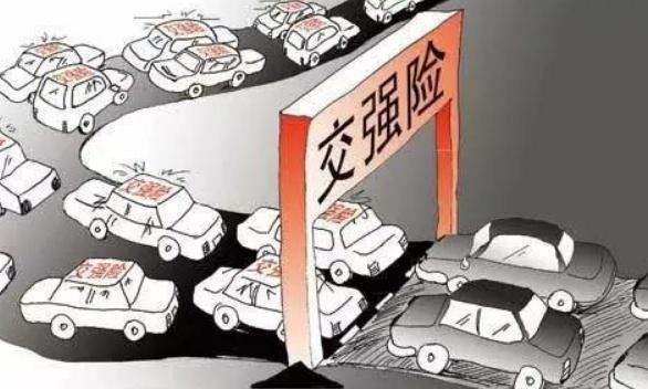 交警提醒：车险只买这4种就可以了，其他保险等同给保险“捐款”